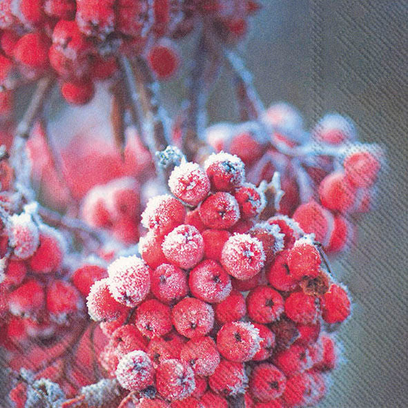 Ihr, Frosty berries, Frokostserviet
