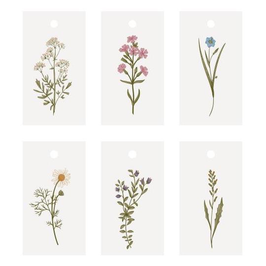Til og fra kort, Blomster, 6 stk
