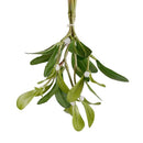 Mistelten mini, h:18cm