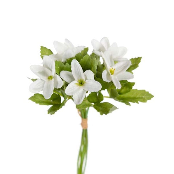Anemone hvid, mini buket 18 cm