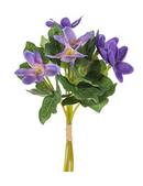 Anemone blå,  mini buket