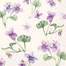 Ihr, Dream of Violets, Kaffeserviet