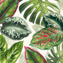 Ihr, Exotic Leaves, Frokostserviet