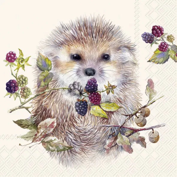 ihr, Forest Hedgehog/ Pindsvin, cream, Frokostserviet