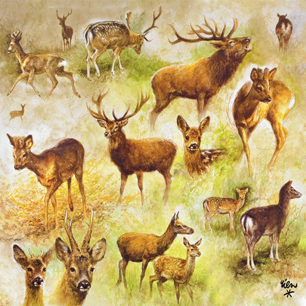 Ambiente, Collage of deers, Frokostserviet