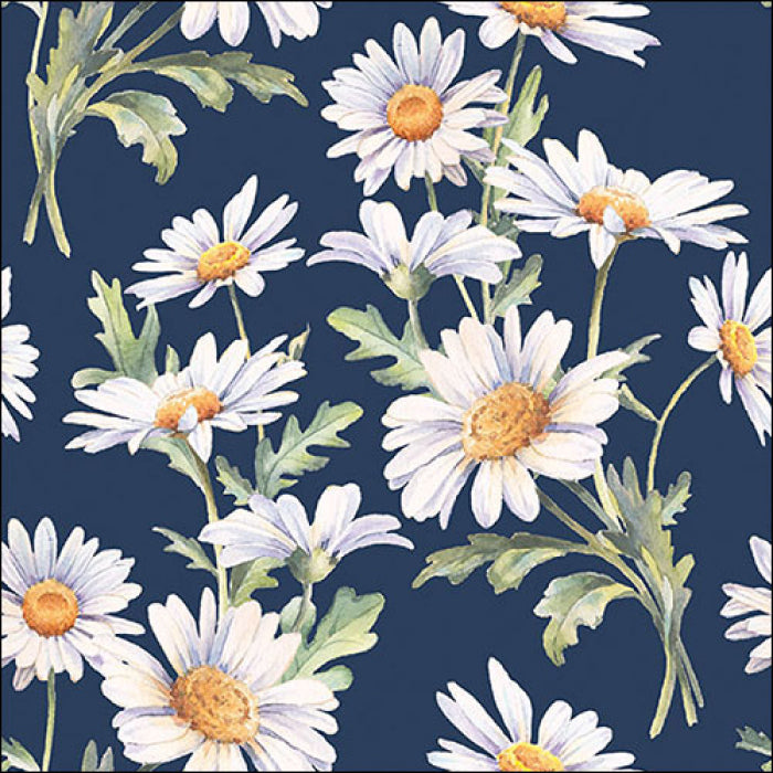 Ambiente, Beautiful Daisies, blue, Frokostserviet