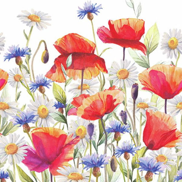 Ambiente, Poppies and cornflowers, Kaffeserviet