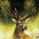 Ambiente, Proud deer, frokostserviet