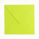 Kuvert Kvadratisk lime, 164x164 mm