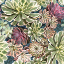 Ihr, Sukkulent, Frokostserviet